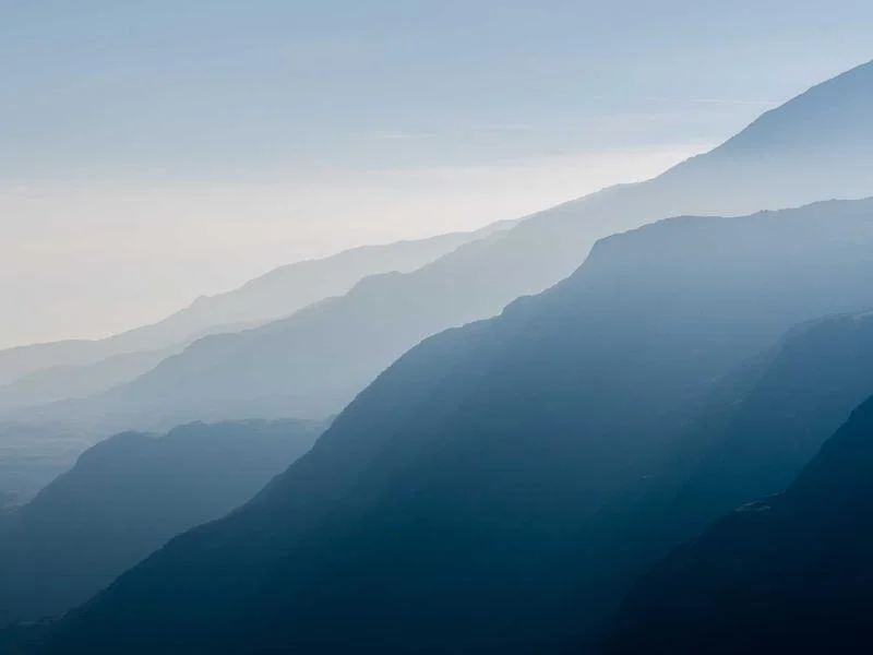 정육점용냉장쇼케이스비용 - 성공적인_정육점_창업의_첫걸음