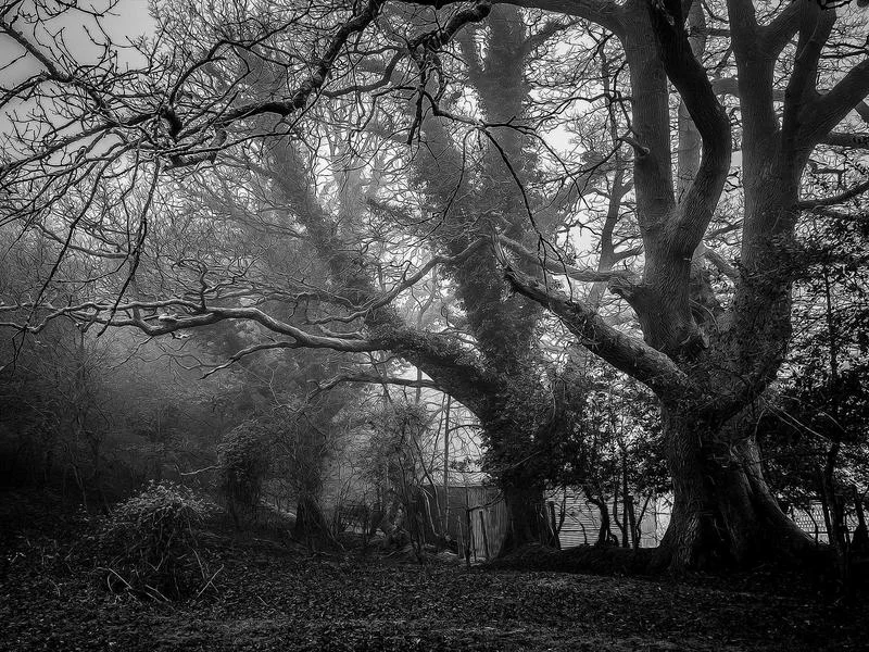 정육점용냉장쇼케이스제품 - 전문가의_꼼꼼한_제품_스펙_점검