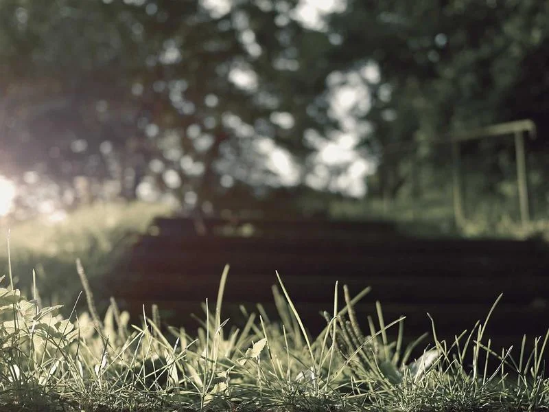 정육점용냉장쇼케이스제품 - 선명한_육질을_살려주는_고성능_강화유리