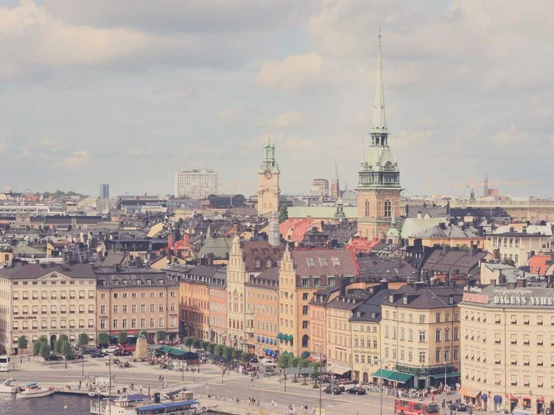 정육점용냉장쇼케이스제품 - 청결한_상태를_유지하는_매장_관리_모습