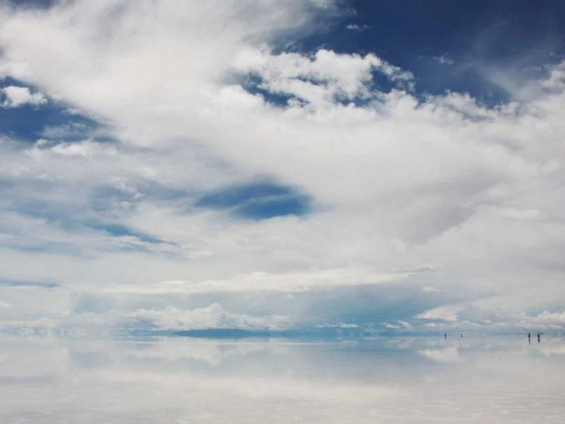 빵집용알루미늄쇼케이스맞춤제작 - 꼼꼼한_사후관리와_점검
