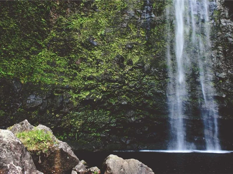빵집용알루미늄쇼케이스비용 - 2026년형_최신_빵집_쇼케이스