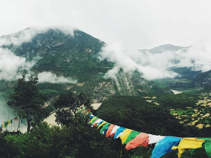 빵집용알루미늄쇼케이스싼곳 - 2026년형 가성비 쇼케이스