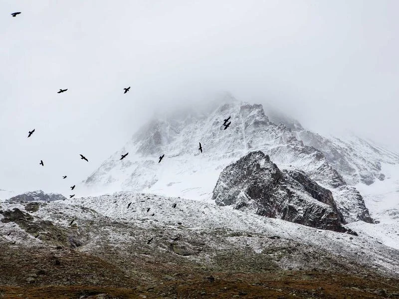 빵집용LED쇼케이스업체추천 - 2026 베이커리 트렌드