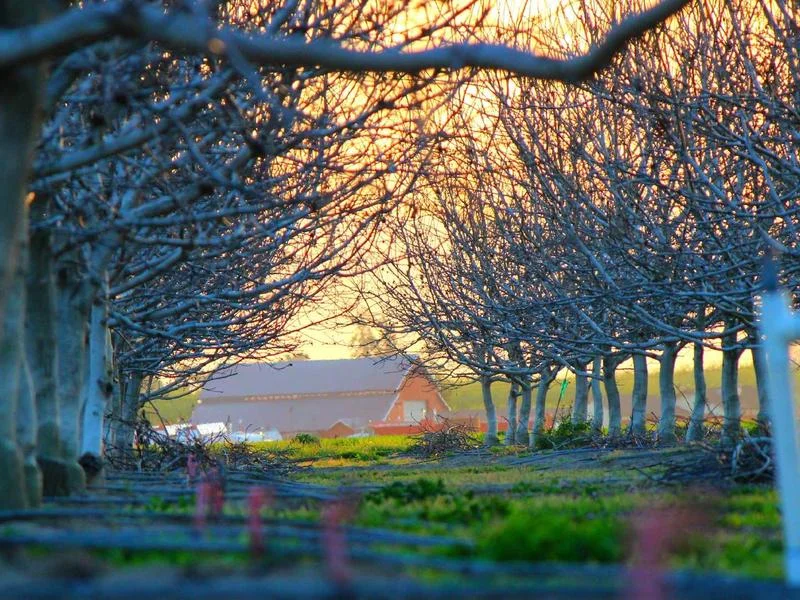 빵집용LED쇼케이스저렴한곳 - 2026년형_최신_빵집_쇼케이스_트렌드