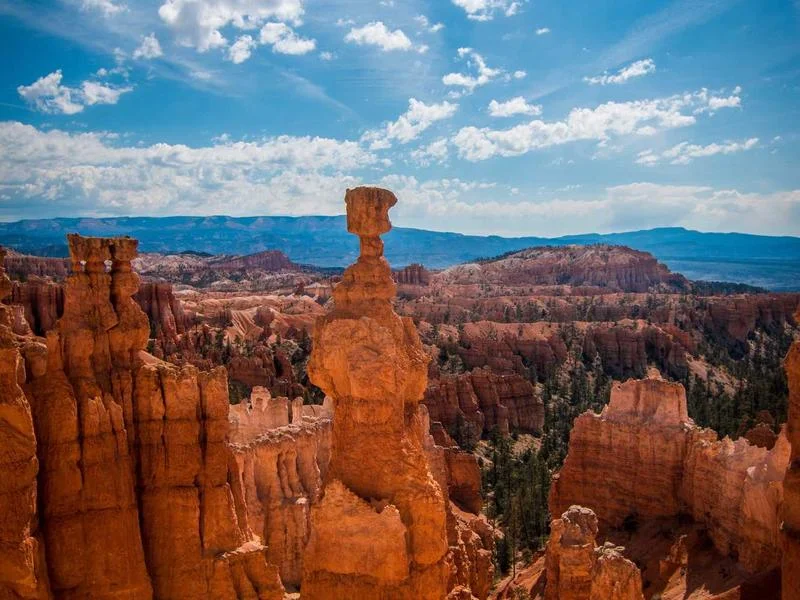빵집용LED쇼케이스저렴한곳 - 꼼꼼한_견적_비교가_성공_창업의_지름길