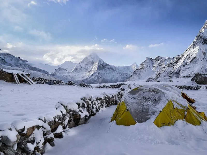 빵집용오픈쇼케이스싼곳 - 매장_분위기를_결정하는_디자인