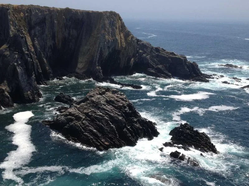 빵집용뒷문쇼케이스비용 - 고품질_LED_조명_효과