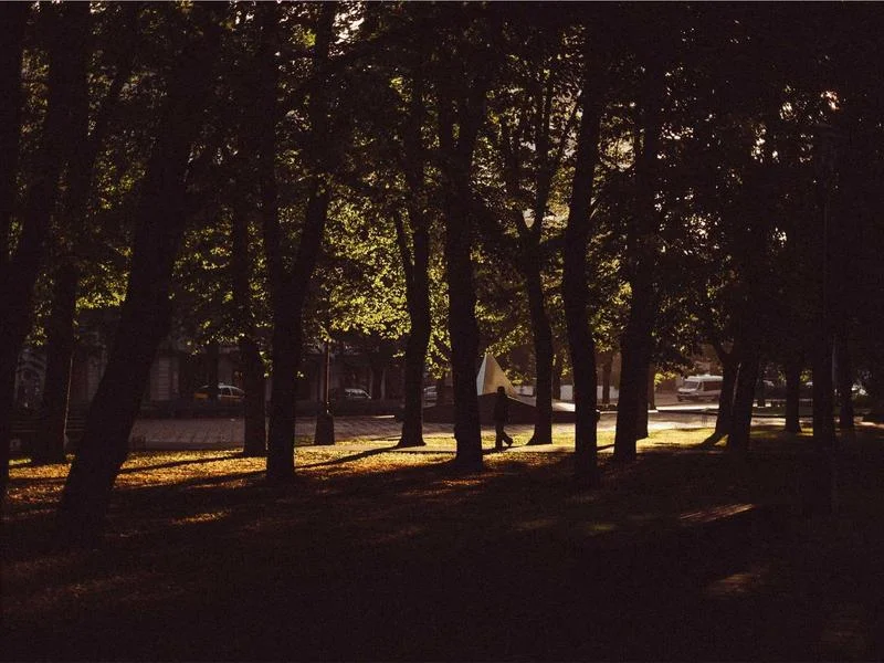 빵집용오픈다단쇼케이스설치 - 전문가의_정밀_설치_과정