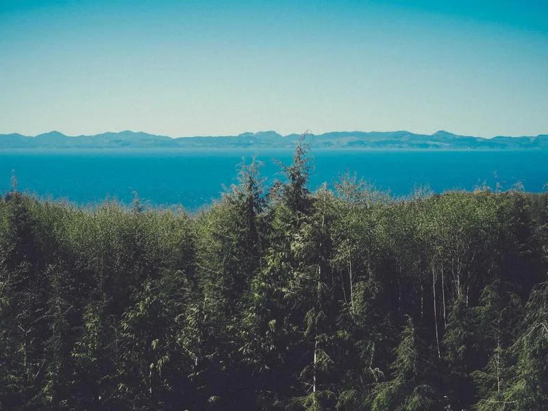 빵집용오픈다단쇼케이스견적 - 2026년형_오픈쇼케이스