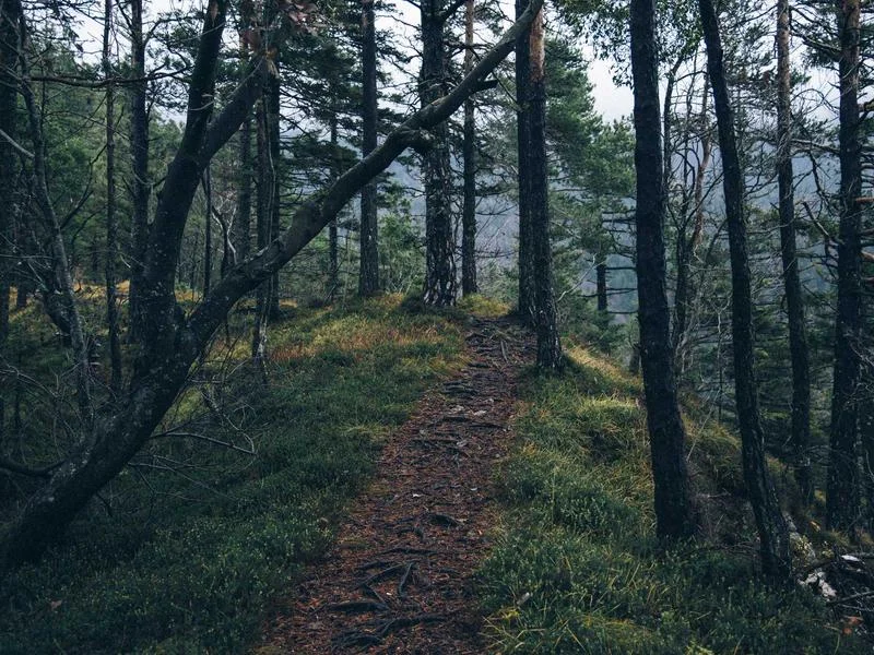 빵집용오픈다단쇼케이스견적 - 전문_엔지니어_설치