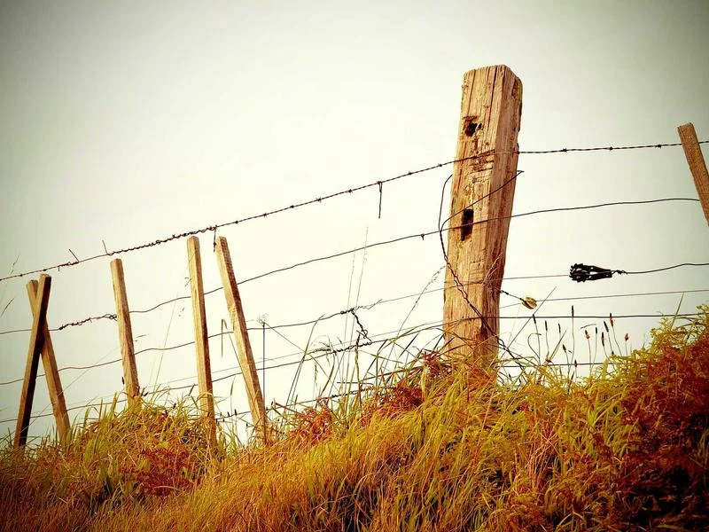 빵집용냉장쇼케이스견적 - 매출을_높이는_LED_조명