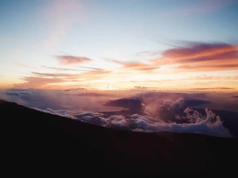 빵집용냉장쇼케이스견적 - 인테리어_맞춤_주문제작