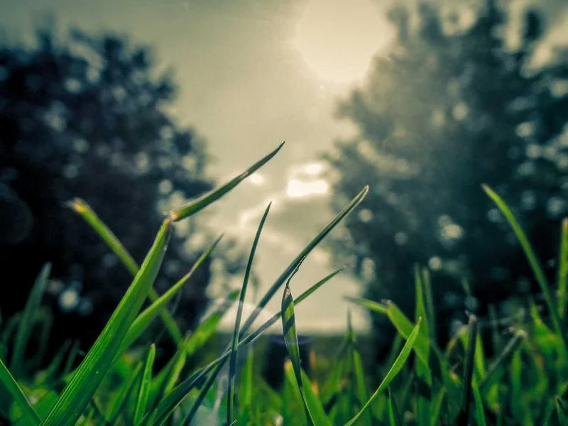 빵집용냉장쇼케이스견적문의 - 정밀_냉각_테스트를_거치는_고급형_제조_공정