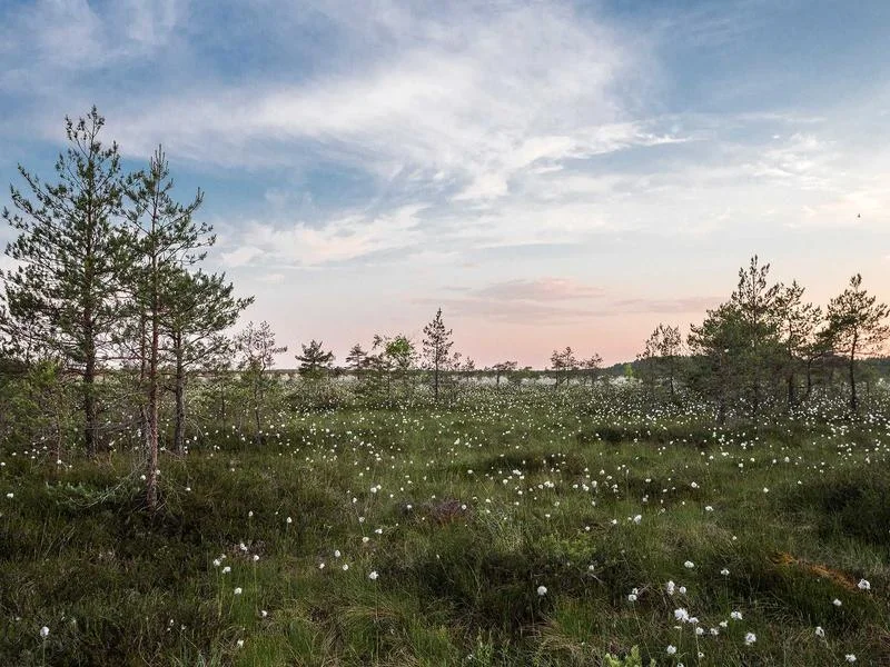빵집용냉장쇼케이스견적문의 - 수명_연장을_위한_주기적인_필터_청소_방법