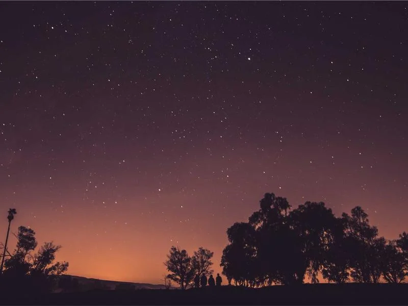 펍용쇼케이스비용 - 2026년_펍_쇼케이스_트렌드