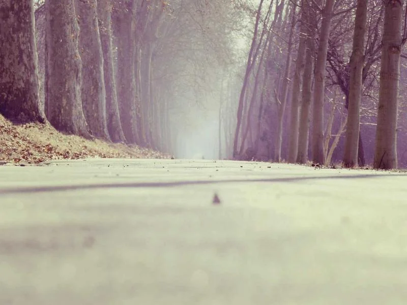 펍용냉장고업체 - 성공적인_매장_오픈