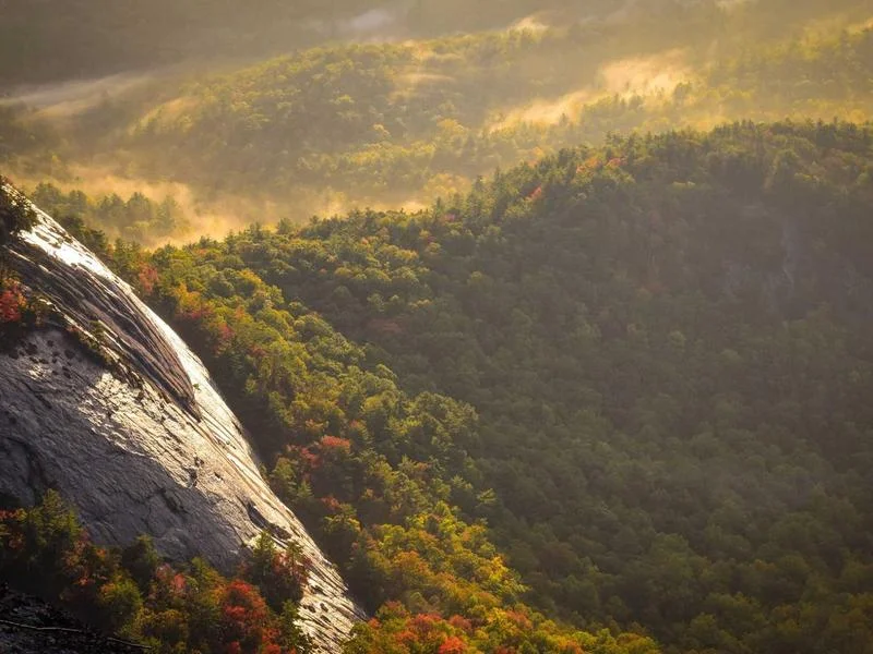 펍용냉장고싼곳 - 정확한_실측이_필요한_이유