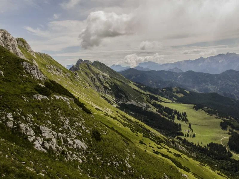 펍용알루미늄쇼케이스맞춤제작 - 매장 환경에 맞춘 1:1 맞춤 설계 상담