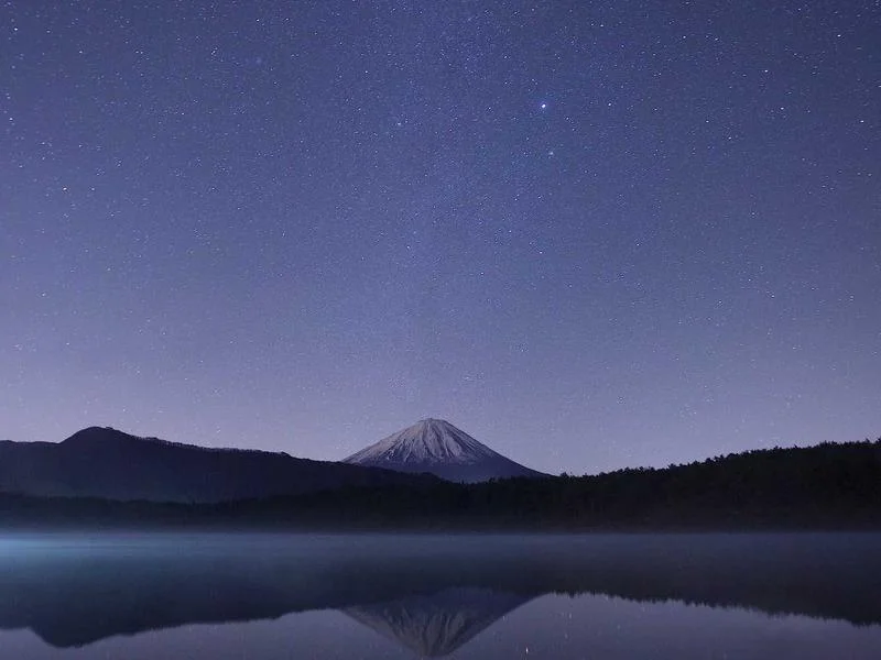 펍용오픈쇼케이스저렴한곳 - 성능이_검증된_하이엔드_장비