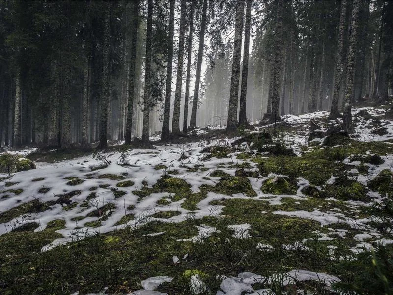 펍용오픈쇼케이스제품추천 - 쇼케이스_디테일_확인