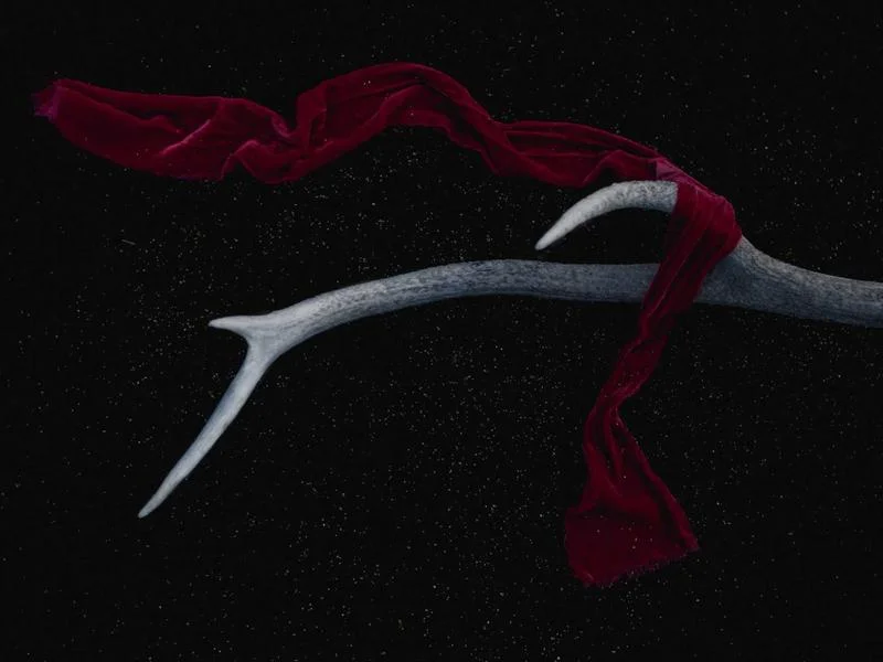 펍용냉장쇼케이스싼곳 - 전문가의_냉장고_설치_모습