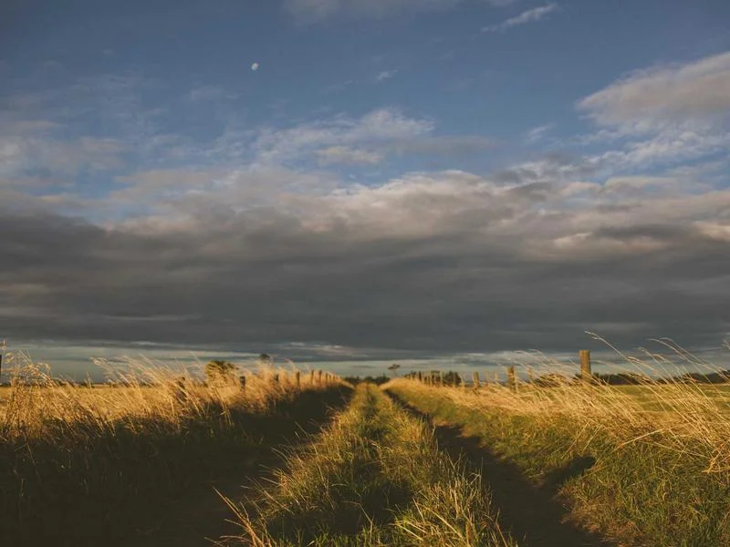 펍용냉장쇼케이스싼곳 - 에너지_효율_인증_확인