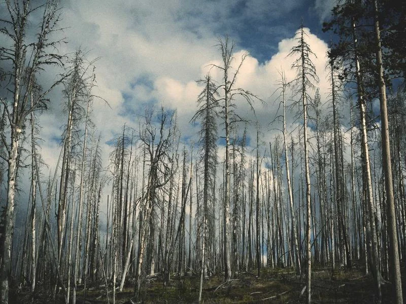 대형마트용쇼케이스맞춤제작 - 2026년형_맞춤_쇼케이스
