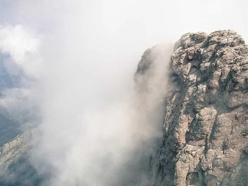 대형마트용쇼케이스제품 - 프리미엄_오픈_쇼케이스