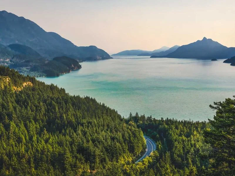 대형마트용쇼케이스제품 - 전문가의_정밀_설치_과정