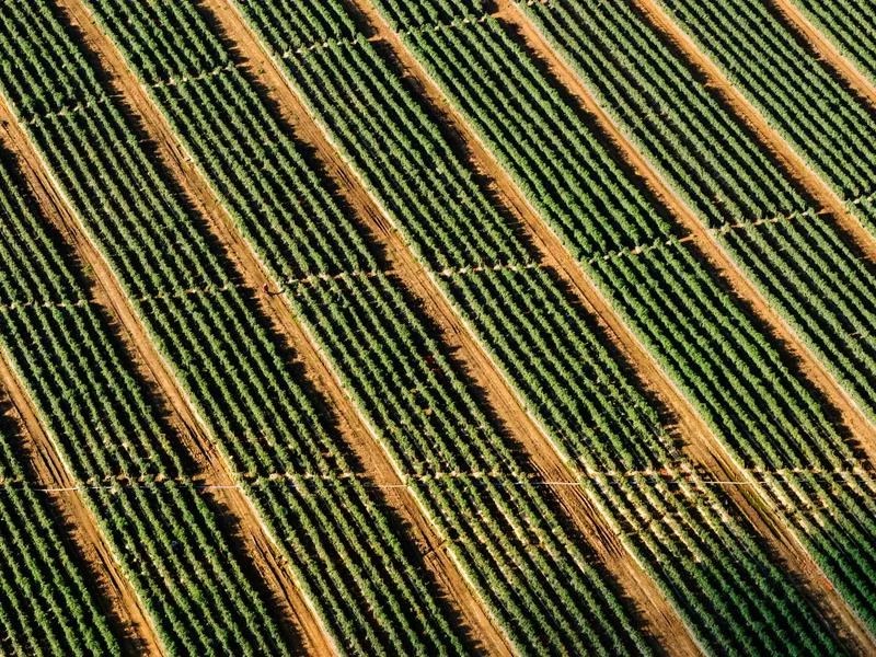 대형마트용냉장고견적문의 - 설치_전_현장_실측_현장