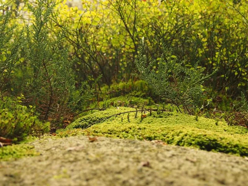 대형마트용알루미늄쇼케이스추천 - 하이엔드_알루미늄_쇼케이스_전경