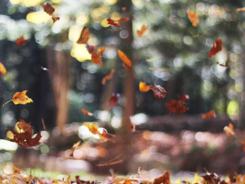 대형마트용앞문쇼케이스싼곳 - 철저한_사후관리가_보장되는_국산_브랜드_선택