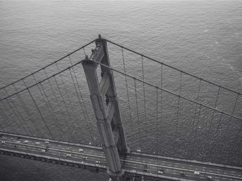 대형마트용앞문쇼케이스제품 - 최적의_상품_진열_노하우