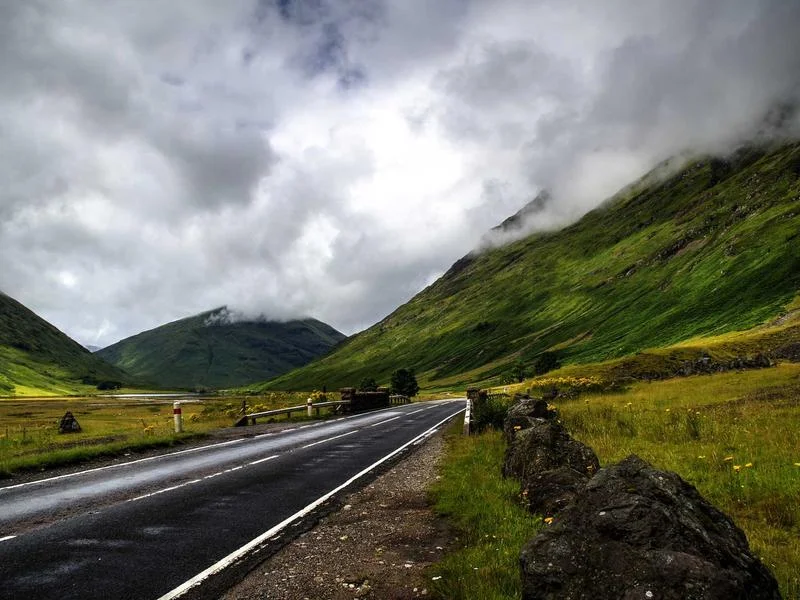 대형마트용오픈다단쇼케이스견적문의 - 마트_설비_레이아웃