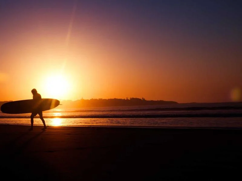 업소용냉동고중고 실제 시세