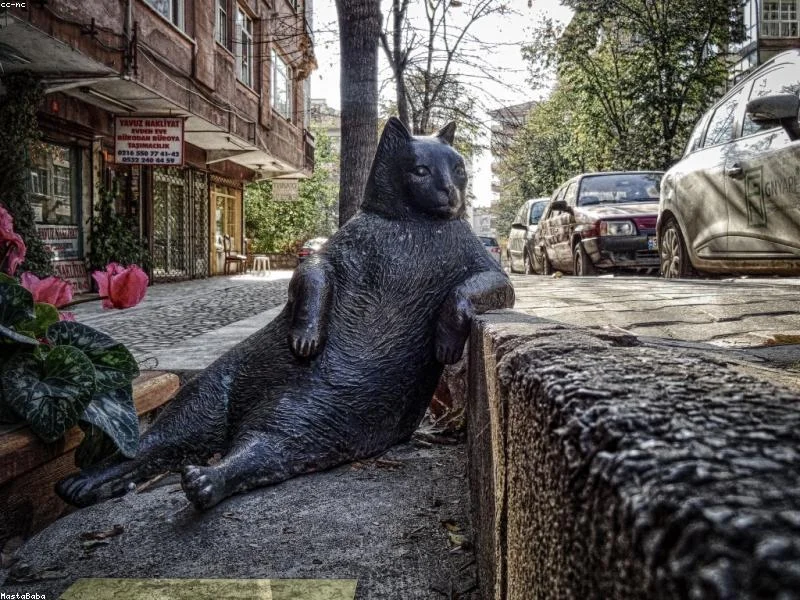 싱크대 사이즈 먼저 재기