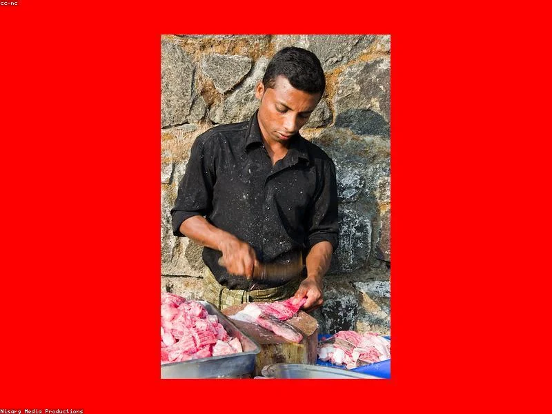 거름망 상태 확인 필수