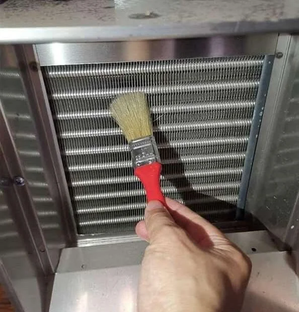 다양한 오픈쇼케이스 모델