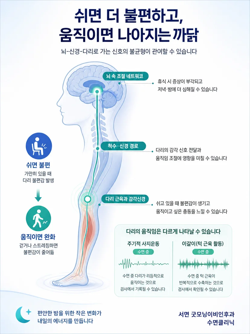 휴식 중 다리 불편감이 움직임으로 잠시 완화되는 하지불안증후군 설명