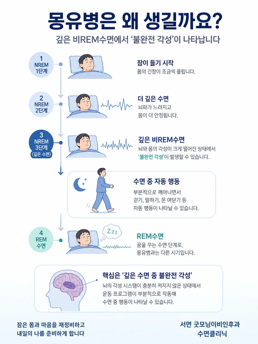 깊은 비REM수면에서 불완전 각성이 나타나는 과정을 설명하는 이미지