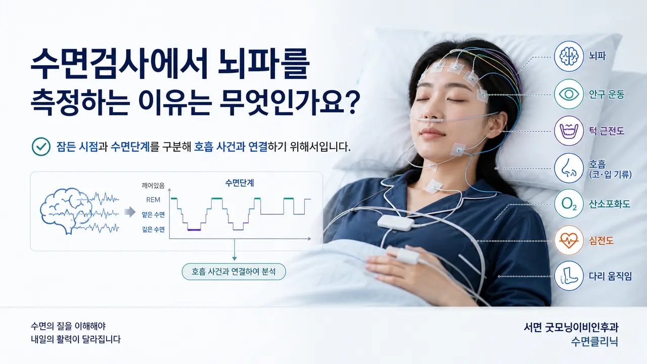 부산수면다원검사 | 수면검사에서 뇌파를 측정하는 이유는 무엇인가요?