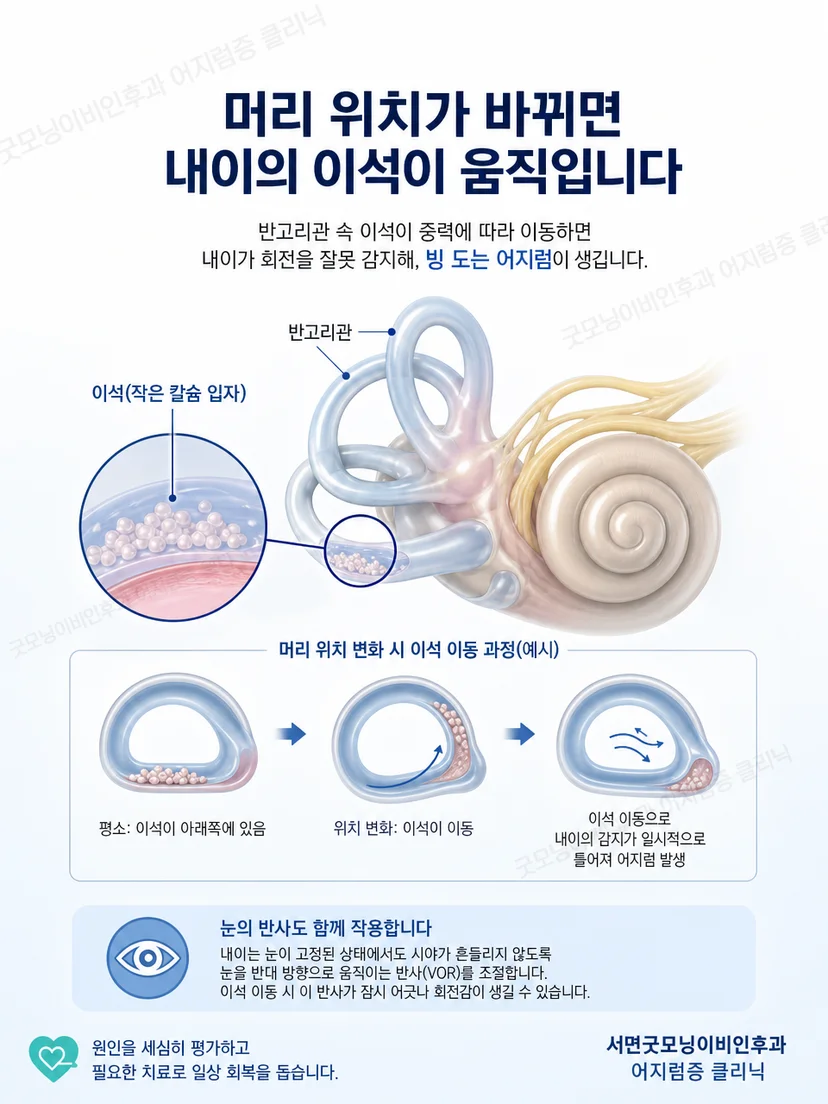 내이 반고리관과 머리 위치 변화에 따른 평형 신호를 설명하는 그림
