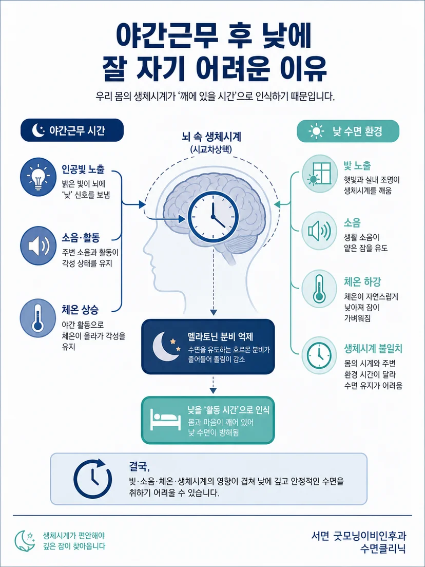시계와 햇빛으로 낮 수면의 생체리듬 원리를 보여주는 이미지
