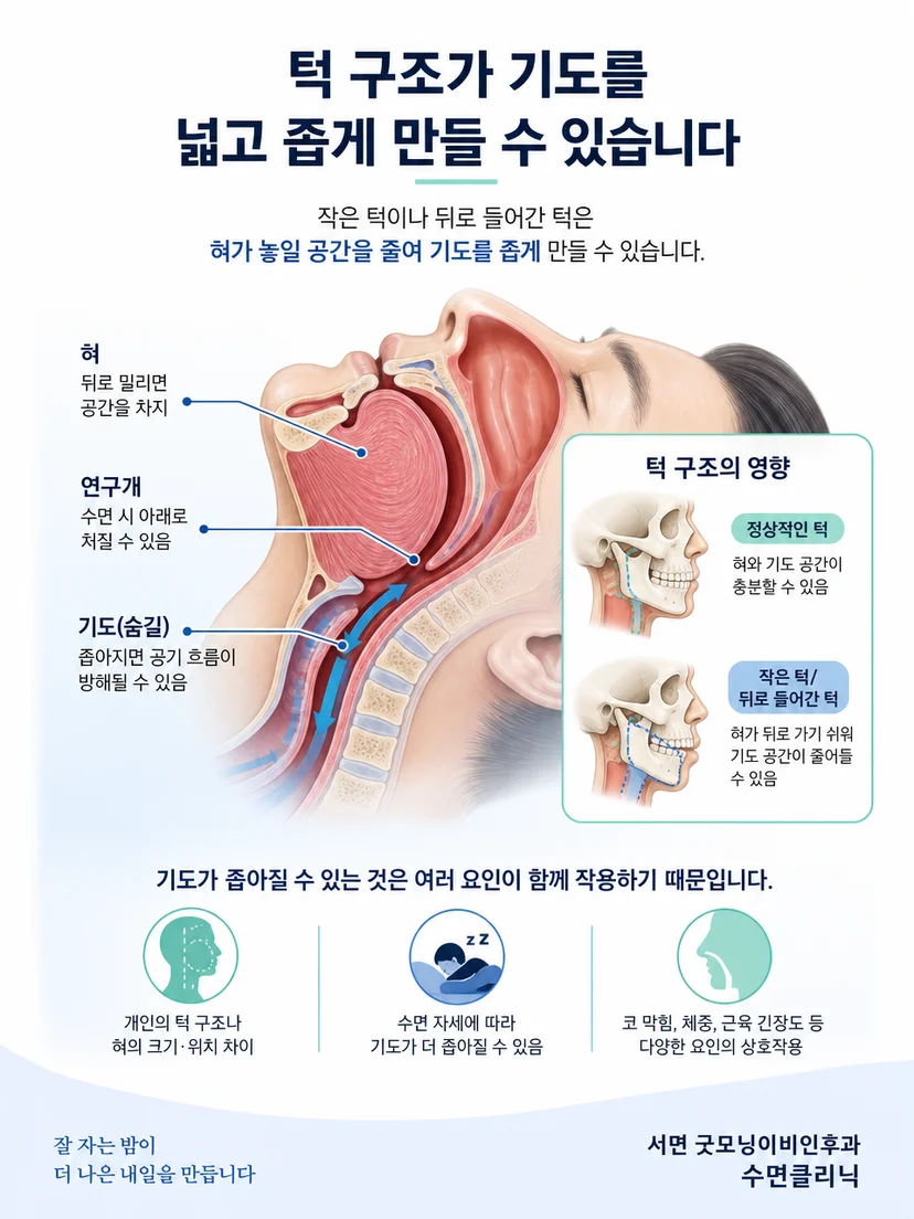 턱 안쪽의 혀와 연구개 및 상기도 단면을 보여주는 해부 설명