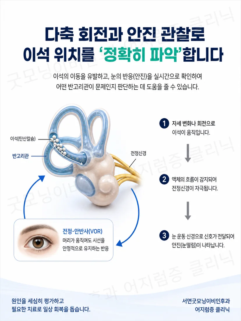 다축 회전으로 머리와 반고리관의 방향을 바꾸는 원리 도식
