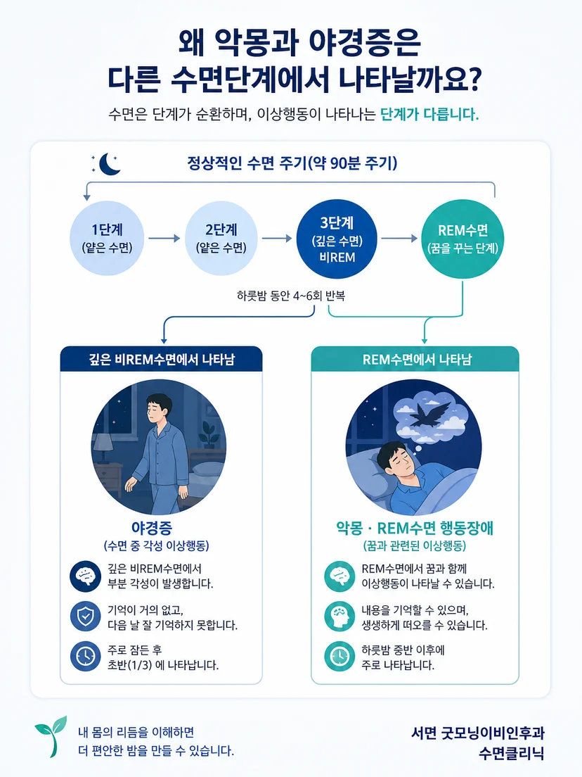 REM수면과 깊은 비REM수면의 반복 흐름을 설명하는 수면단계 이미지