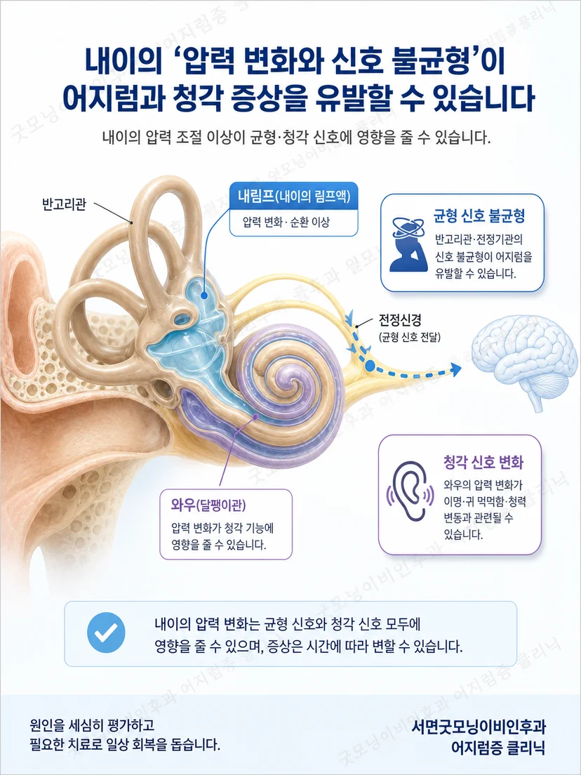 청각과 균형 기능을 담당하는 내이 구조의 관계