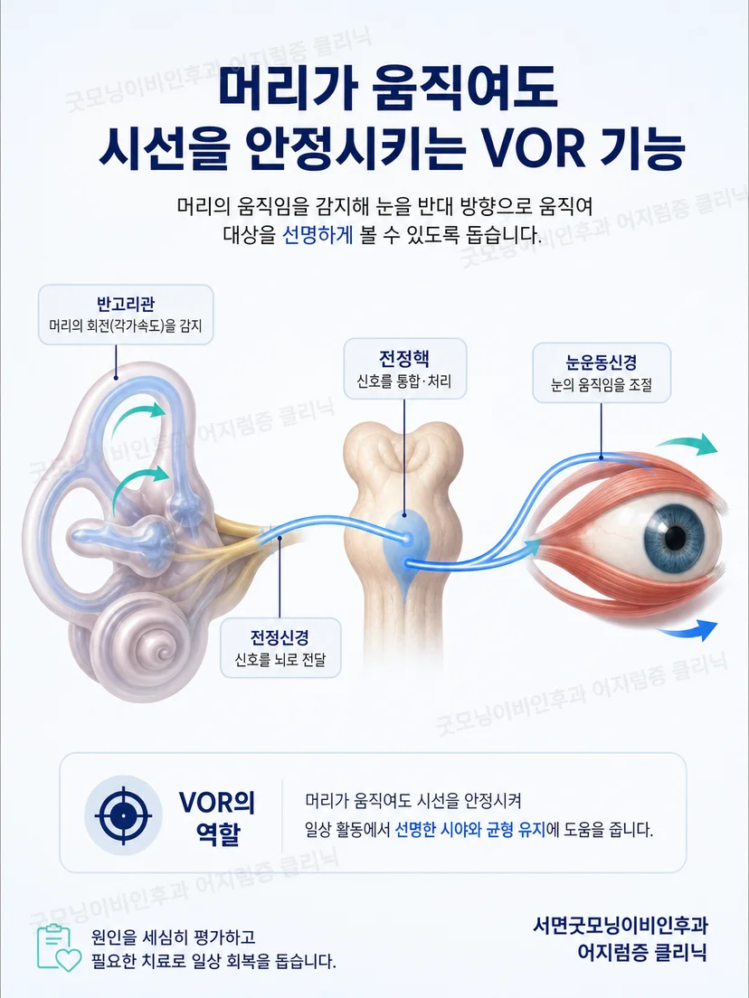 머리 회전과 반대 방향의 눈 움직임으로 시선을 유지하는 전정안반사 원리