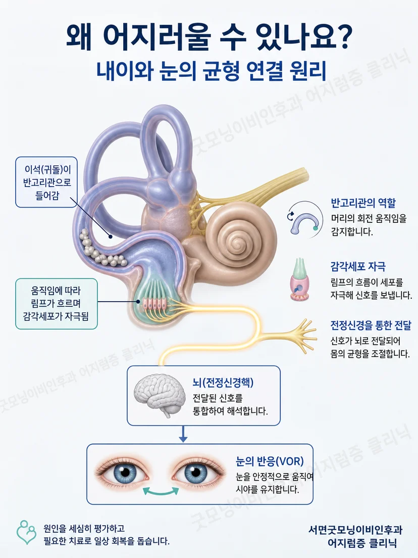 TRV Chair가 여러 축의 자세 변화를 구현하는 원리 설명